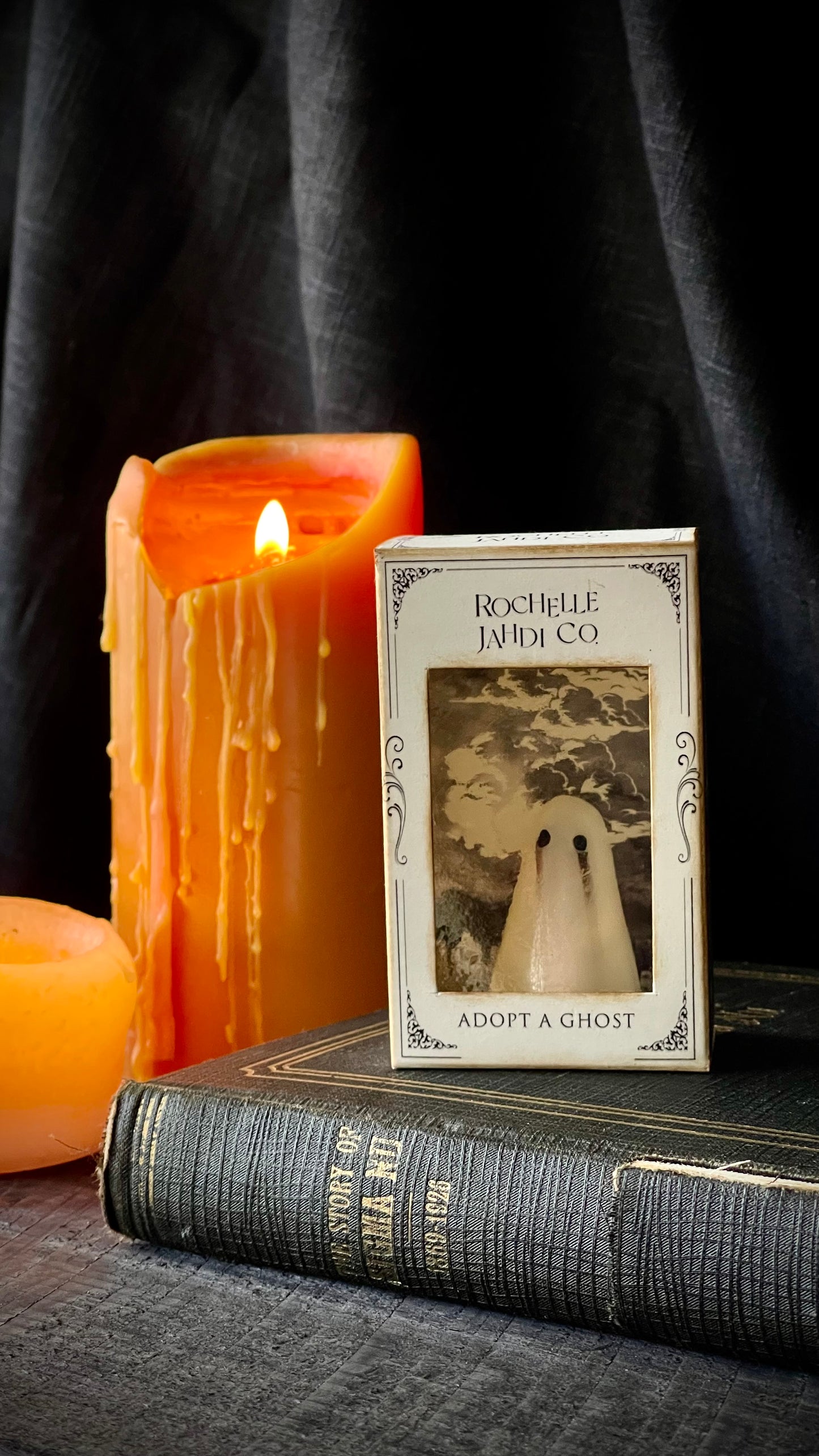 Gold and black adopt a Ghost