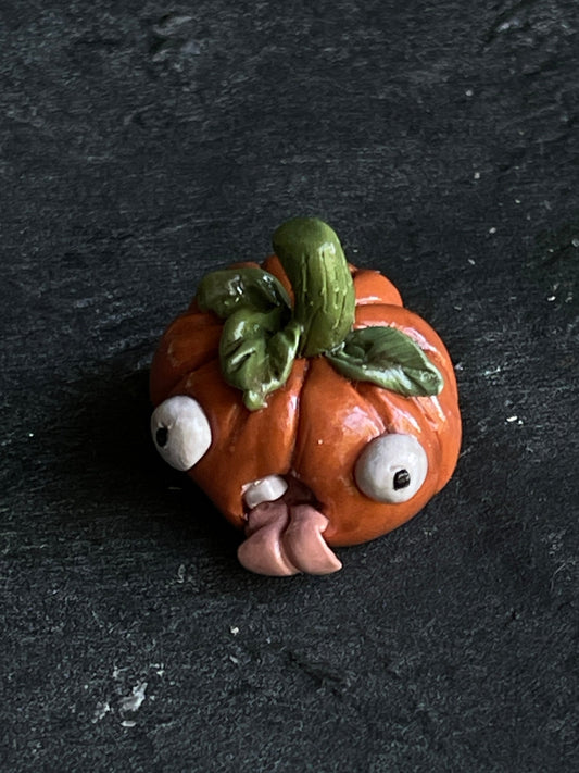 Miniature Pumpkin - Mr.Quirky